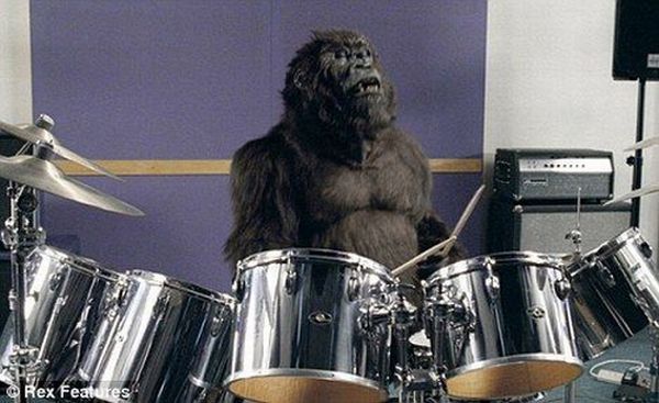 Daily picdump (153 pics)