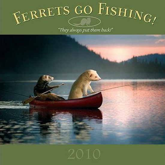 ferrets_go_fishing_00.jpg