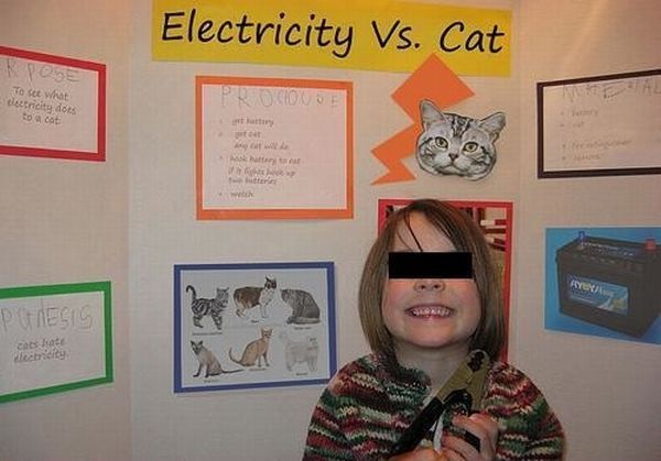 WTF Pictures Compilation. Part 2 (76 pics)