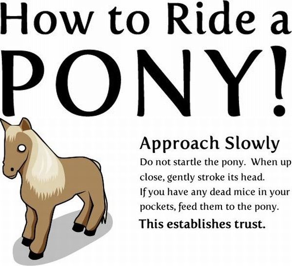 funny comic. Funny Comics - How to Ride a