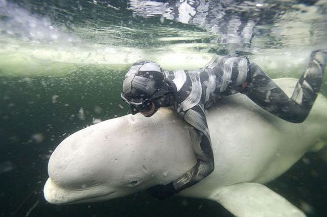 Daily picdump (154 pics)