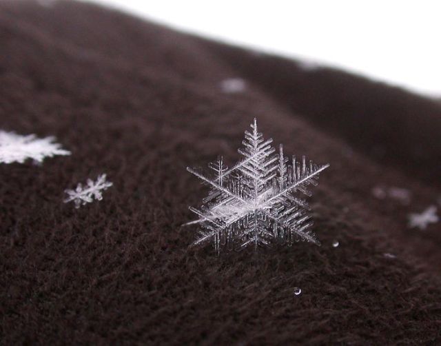 Unique and Beautiful Snowflakes (49 pics)