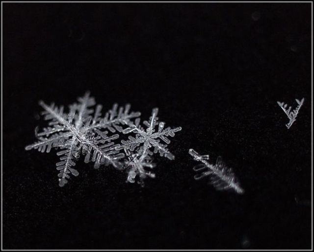 Unique and Beautiful Snowflakes (49 pics)
