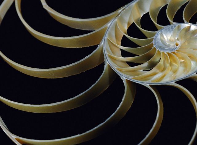 Beautiful Patterns in Nature from National Geographic. Part 2 (78 pics)