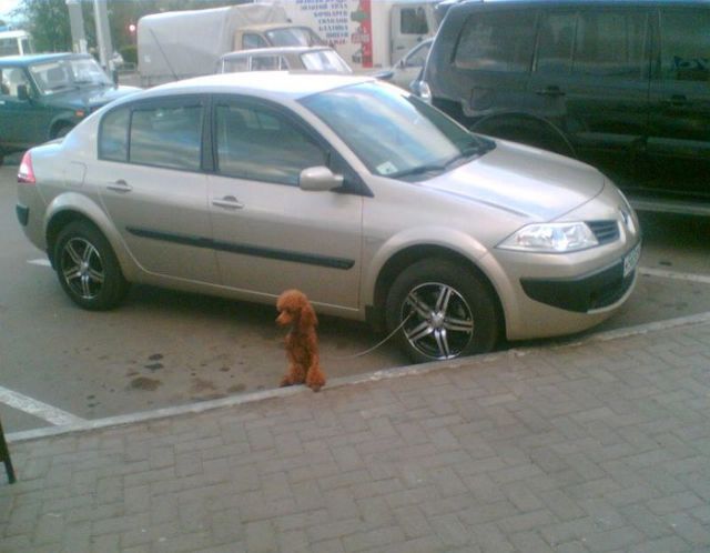 Daily picdump (115 pics)