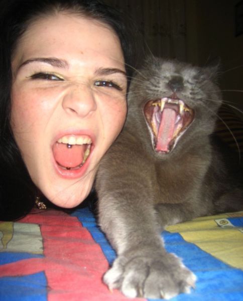 Daily picdump (197 pics)