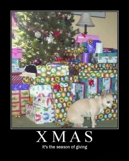 funny christmas. Funny Christmas Demotivational