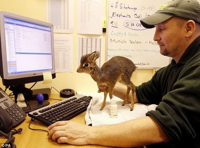 Daily picdump (173 pics)