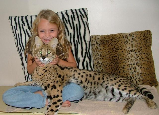 Daily picdump (173 pics)
