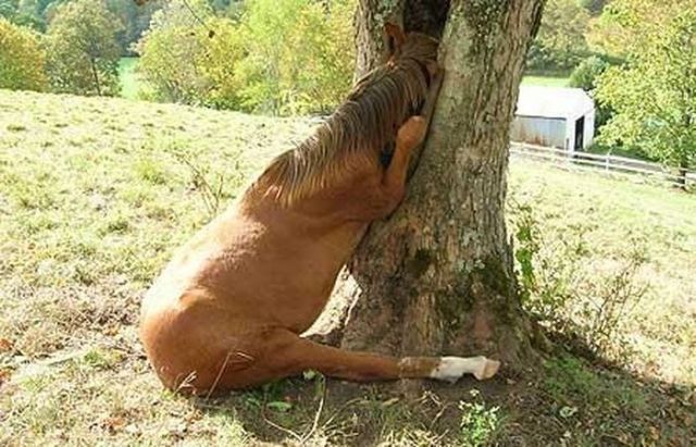 Daily picdump (146 pics)