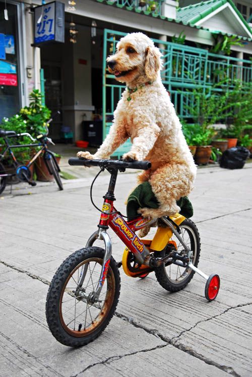 Daily picdump (146 pics)