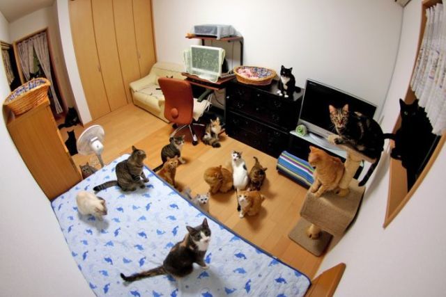 Daily picdump (146 pics)