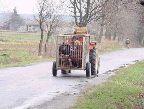 Life In The Funny Lane (44 pics)