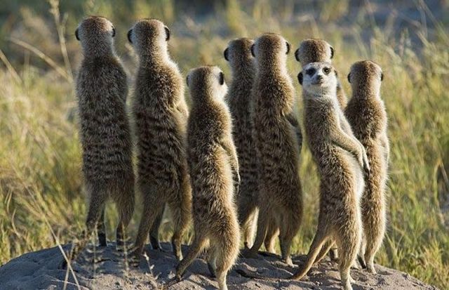 Daily picdump (120 pics)