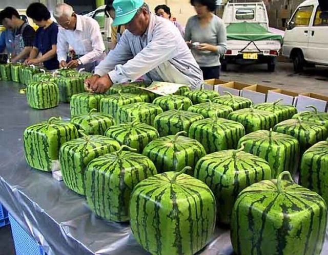 Daily picdump (120 pics)