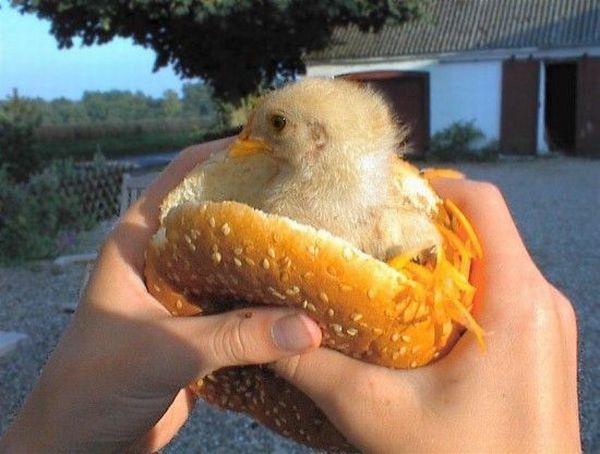 Daily picdump (151 pics)
