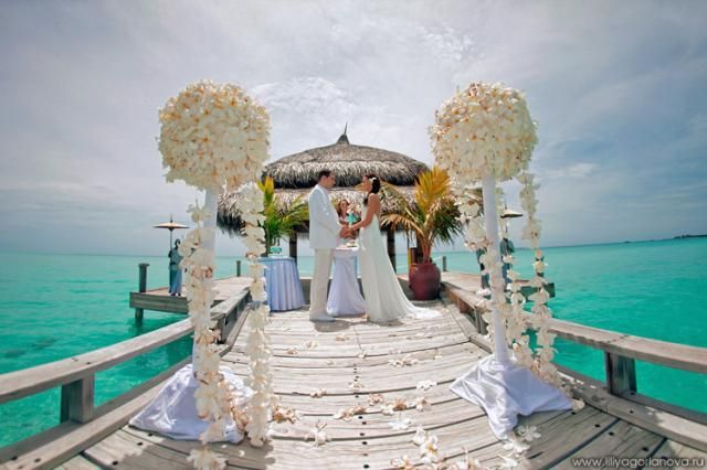 A Tropical Wedding 99 pics 