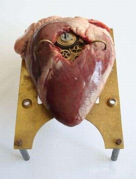Daily picdump (136 pics)