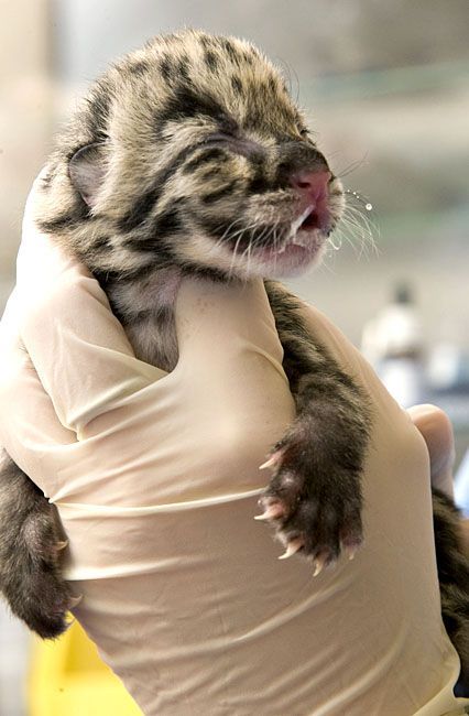 Daily picdump (136 pics)