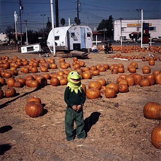 Daily picdump (137 pics)