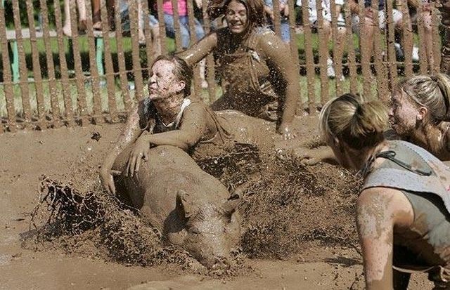 Daily picdump (137 pics)