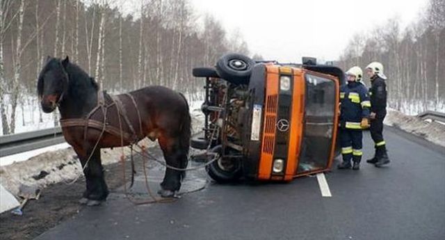 Daily picdump (137 pics)