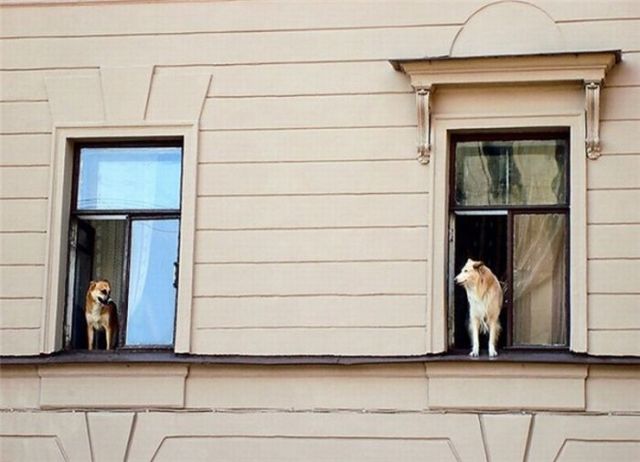 Daily picdump (137 pics)