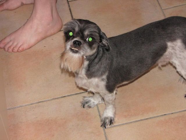 Daily picdump (137 pics)