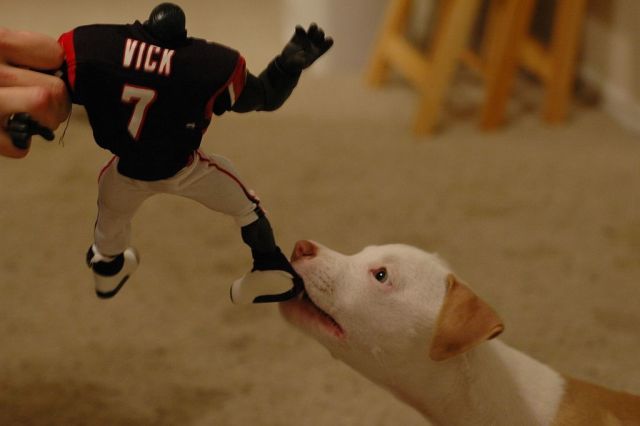 Daily picdump (129 pics)