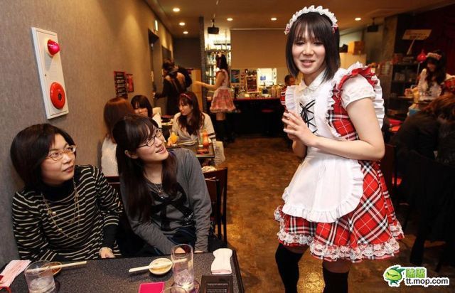 Little Coffee Shop with Special Waitresses (5 pics)
