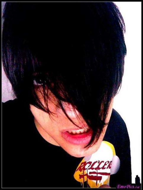 Hot Emo Boys (49 pics)