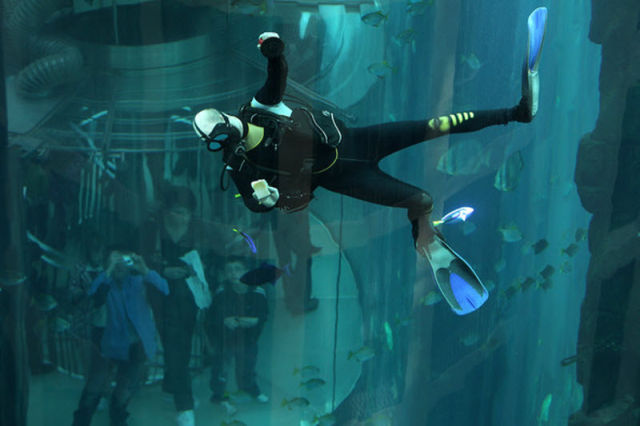Unbelievable: Elevator Inside Aquarium (11 pics)