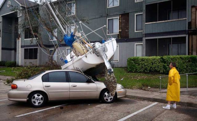 Daily picdump (148 pics)