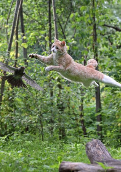 Daily picdump (148 pics)