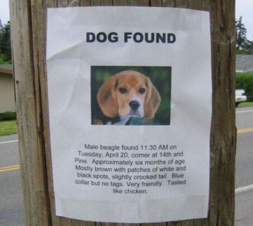 Daily picdump (148 pics)