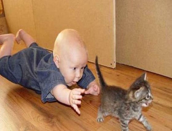 Kittens and Babies Are So Cute Together (21 pics)