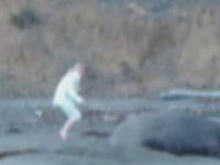 Elephant Seal Cuddling with a Woman
