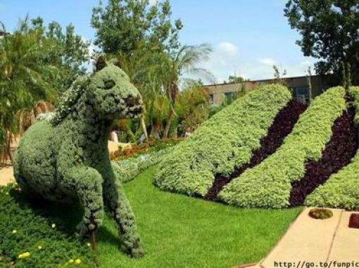 Incredible “Fairy Tale” Garden (35 pics)