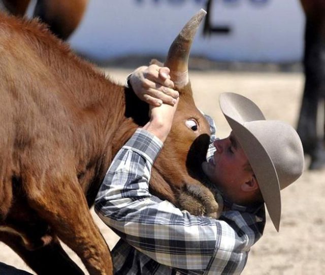 Daily picdump (127 pics)