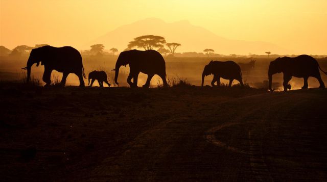 Incredible Africa Photos (26 pics)