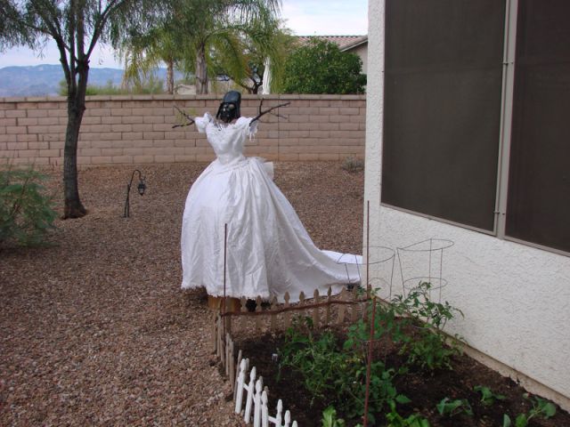 Wedding Dress Revenge (34 pics)