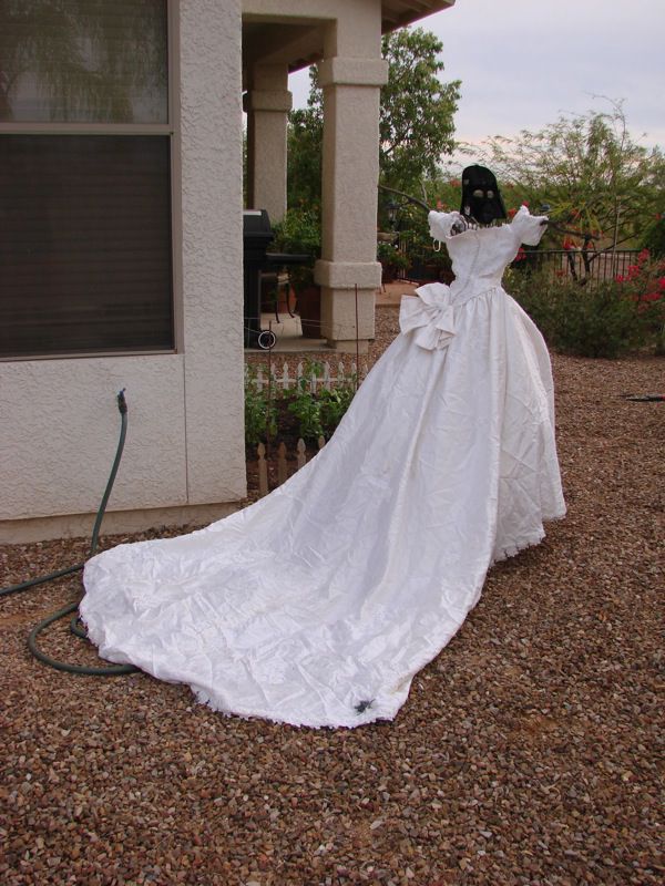Wedding Dress Revenge (34 pics)