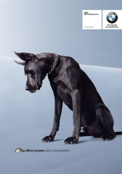 Amazing Ads with Dogs (31 pics) - Izismile.com