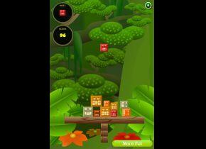Jungle Tower 2 – The Balancer