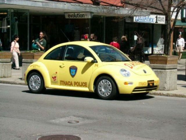 Unusual, Funny and Awesome Cop Cars (27 pics)