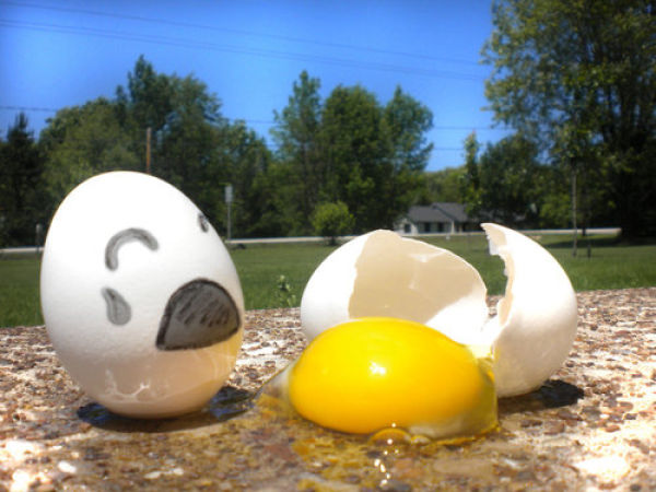 The Wonderful and Secret World of Eggs. Part 2 (64 pics)