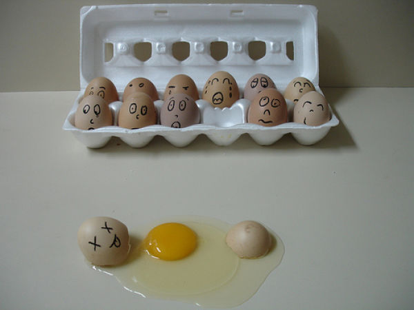 The Wonderful and Secret World of Eggs. Part 2 (64 pics)
