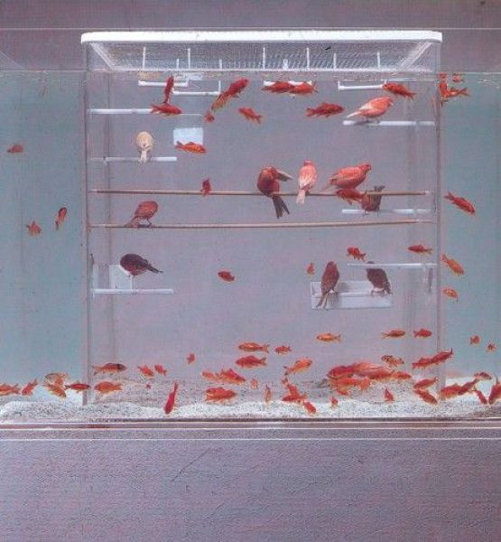 Daily picdump (128 pics)