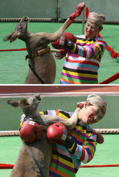 Daily picdump (128 pics)