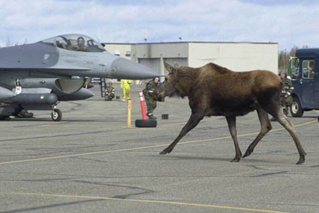 Daily picdump (128 pics)